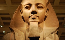 Tái sinh thành công nam thần Ai Cập - Pharaoh Ramses II