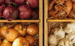 Cách bảo quản một số loại rau củ, trái cây tươi ngon trong nhiều tháng