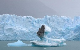 Các nhà khoa học 'đánh thức' 13 loại virus thời tiền sử từ lớp băng vĩnh cửu ở Siberia