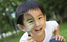 5 dấu hiệu cho thấy trẻ cực kỳ thông minh