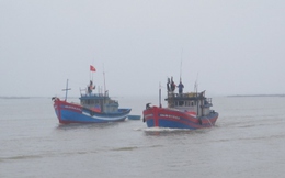 Một ngư dân Quảng Ngãi đột quỵ rơi xuống biển tử vong