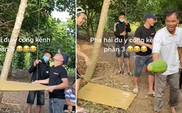 Nhóm thanh niên "dàn cảnh" chỉ để lấy 1 quả đu đủ nhưng lại không bằng vị "cao nhân" này