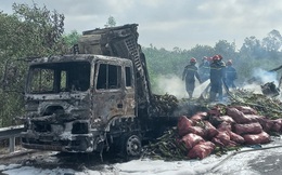 Cháy kinh hoàng trên cao tốc Đà Nẵng - Quảng Ngãi, xe và hàng bị thiêu rụi