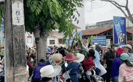 Cảnh có "1 0 2" ở Việt Nam: Chục người thi nhau "vặt lá" để lấy nó thay tiền đi mua đồ ăn