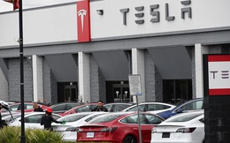 Hơn 400.000 ô tô điện Tesla bị điều tra vì sự cố phanh
