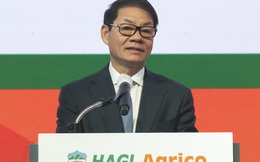 HAGL Agrico lần thứ 3 lỗ nghìn tỷ trong 6 năm