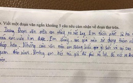Học sinh viết 5 câu Văn, nhà phê bình cũng phải "khóc thét", tác giả chắc "giận tím người"
