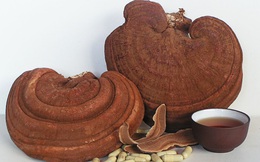 Nấm linh chi - thuốc bổ "cải lão hoàn đồng" nhưng nếu dùng theo cách sai này sẽ gây hại