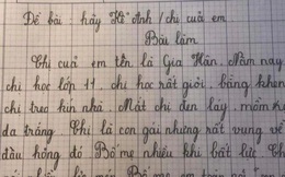 Bài văn "bóc phốt" chị gái: 10 câu thì 9 dòng nói xấu, đọc câu cuối mà muốn "tăng xông"