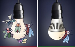 Mẹo tránh côn trùng cho ngôi nhà của bạn khi thời tiết giao mùa
