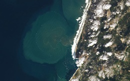 NASA công bố hình ảnh vệ tinh của 'sóng quái vật' có độ cao ngang tòa nhà 7 tầng