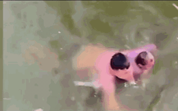 Clip: 3 người đàn ông nhảy xuống hồ cứu bé trai thoát chết đuối