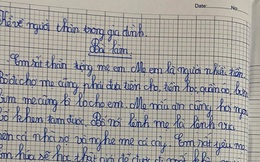 Học sinh Tiểu học làm văn tả mẹ đúng chuẩn "nóc nhà", mơ ước việc tương lai gây ngỡ ngàng