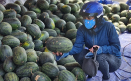 Dưa hấu “giải cứu” bày bán la liệt ở Hà Nội, giá siêu rẻ