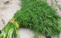 Loại rau rất tốt cho huyết áp, tiêu hóa: Người Việt đã ăn từ lâu