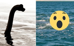 Ngày đêm nghiên cứu, vị giáo sư phát hiện quái vật hồ Loch Ness có thể là "của quý" cá voi