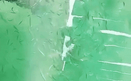 Xuất hiện clip thả cần câu vài giây đã "bội thu" cá đớp mồi, hỏi bí quyết thấy mà ham