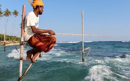 Cận cảnh nghề “đu cột câu cá” độc nhất vô nhị ở quốc gia 22 triệu dân vừa vỡ nợ