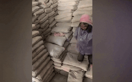 Cụ bà bốc dỡ 1 tấn xi măng kiếm 30 nghìn phụ gia đình: 'Cụ tự nguyện, muốn được đi làm”