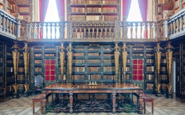 Thư viện đẹp nhất thế giới dùng 'dơi' để bảo tồn những cuốn sách và bản thảo cũ