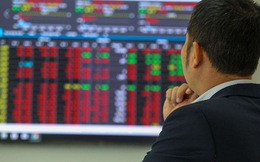 Pha đảo chiều ngoạn mục của thị trường chứng khoán