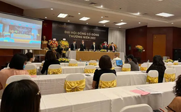 7 cổ đông sẽ chuyển nhượng toàn bộ cổ phần cho Bầu Thụy