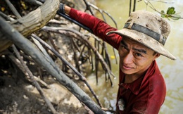 Những người lội bùn săn bạch tuộc, chem chép ở thành phố lớn nhất Việt Nam