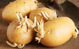 4 loại rau củ “ủ độc” đến người bán còn không dám ăn