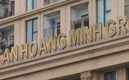 Mục đích phát hành 10.000 tỷ trái phiếu của Tân Hoàng Minh để rót vào những dự án nào?
