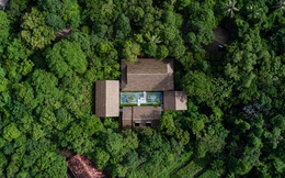 Phú Quốc có resort trong rừng đẹp nhất thế giới mở cửa ra là chạm tay vào thiên nhiên