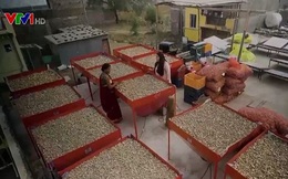 Máy sấy nông sản chạy bằng năng lượng mặt trời