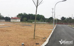 Không chỉ thiếu nguồn cung, doanh nghiệp ‘tiết lộ’ lý do khiến giá nhà chỉ tăng, khó giảm