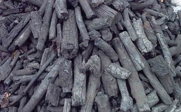 Các cách khử mùi lò vi sóng hiệu quả bất ngờ chỉ trong tích tắc