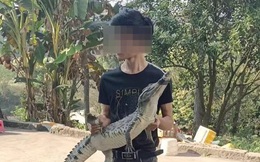 Trung Quốc phát báo động an toàn khẩn cấp khi 6 con cá sấu xổng chuồng sau mưa lớn