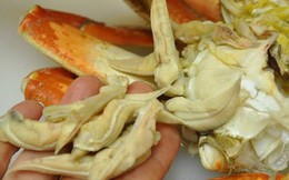 Chuyên gia chỉ ra 3 bộ phận tuyệt đối không nên ăn của cua, cần loại bỏ ngay