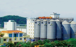 Hé lộ công ty tư nhân bí ẩn ở Bắc Ninh, chuyên cung cấp bột mì cho nhiều ông lớn thực phẩm