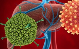 Adenovirus- Nghi phạm gây bệnh viêm gan bí ẩn có khả năng gây bệnh gì?