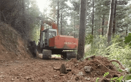 Đang xúc đất, người đàn ông hốt hoảng bỏ chạy khi đụng phải sinh vật chết người: Đó là gì?