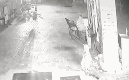 Clip: Người đàn ông dùng chiêu "giả chết" lừa báo hoa mai và cái kết