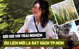 Hết lên núi, xuống biển rồi thì mình vào rừng nguyên sinh thám hiểm ngay sát TP.HCM