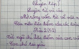 Làm bài tập đặt câu nêu đặc điểm con vật, bé gái tiểu học khiến dân mạng dở khóc dở cười