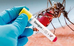 7 quan niệm sai lầm về sốt xuất huyết khiến bệnh dễ trở nặng
