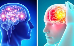 7 sự thật bất ngờ về cơ thể con người mà 99% mọi người đều không biết hoặc nhầm lâu nay