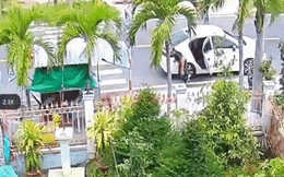 Dân mạng 'cạn lời' trước người đàn ông đi ô tô ăn cắp 4 quả dừa
