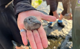 Nhặt cục đá kỳ lạ lúc dạo biển, cô gái bất ngờ khi biết 'danh tính' thật: Dấu tích cổ đại