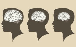 8 sự thật về cơ thể con người mà bạn có thể chưa biết