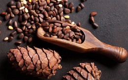 Loại hạt mệnh danh "hạt trường sinh", tốt cho tim, bổ não: Người Việt để rụng, ít ăn