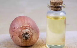 5 tác dụng “thần thánh” của dầu hành tây đỏ cho mái tóc chắc khỏe