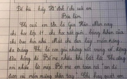 'Cười ra nước mắt' với bài văn tiểu học 'bóc phốt' chị gái tận chân tơ kẽ tóc
