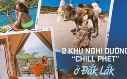 Trải nghiệm thức dậy giữa núi rừng tại 2 khu nghỉ dưỡng cực "chill" ở Đắk Lắk